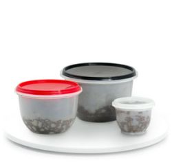 90g Christmas Puddings