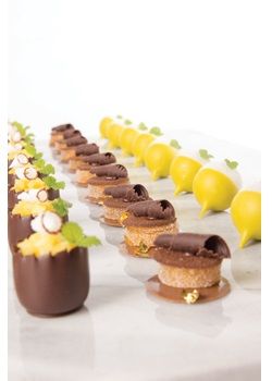 Truffle Shells White