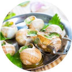 Escargot serving.