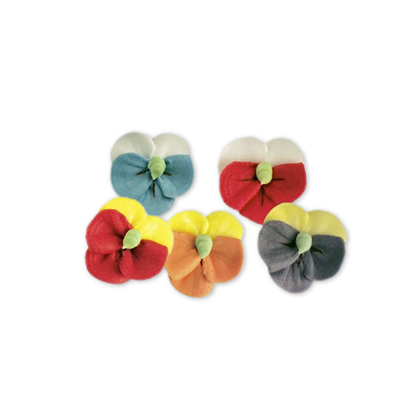 Violets Assorted Colours