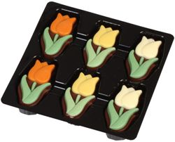 Tulips Box