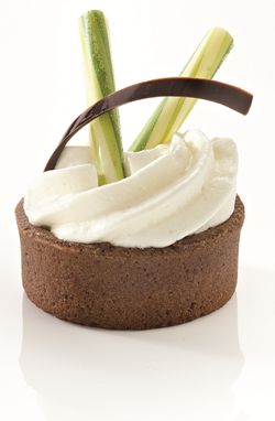 Mini Trendy Shells Round Chocolate