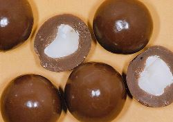 Chocolate Macadamias