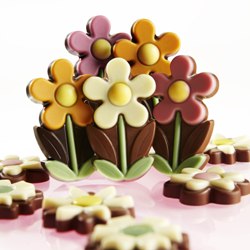 Flower Box displayed.