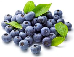 4.5kg Topfil Blueberry Filling