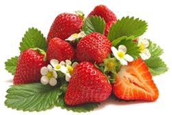 4.5kg Strawberry Filling NAFNAC