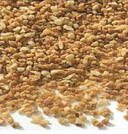 Croquant Nougatine Medium